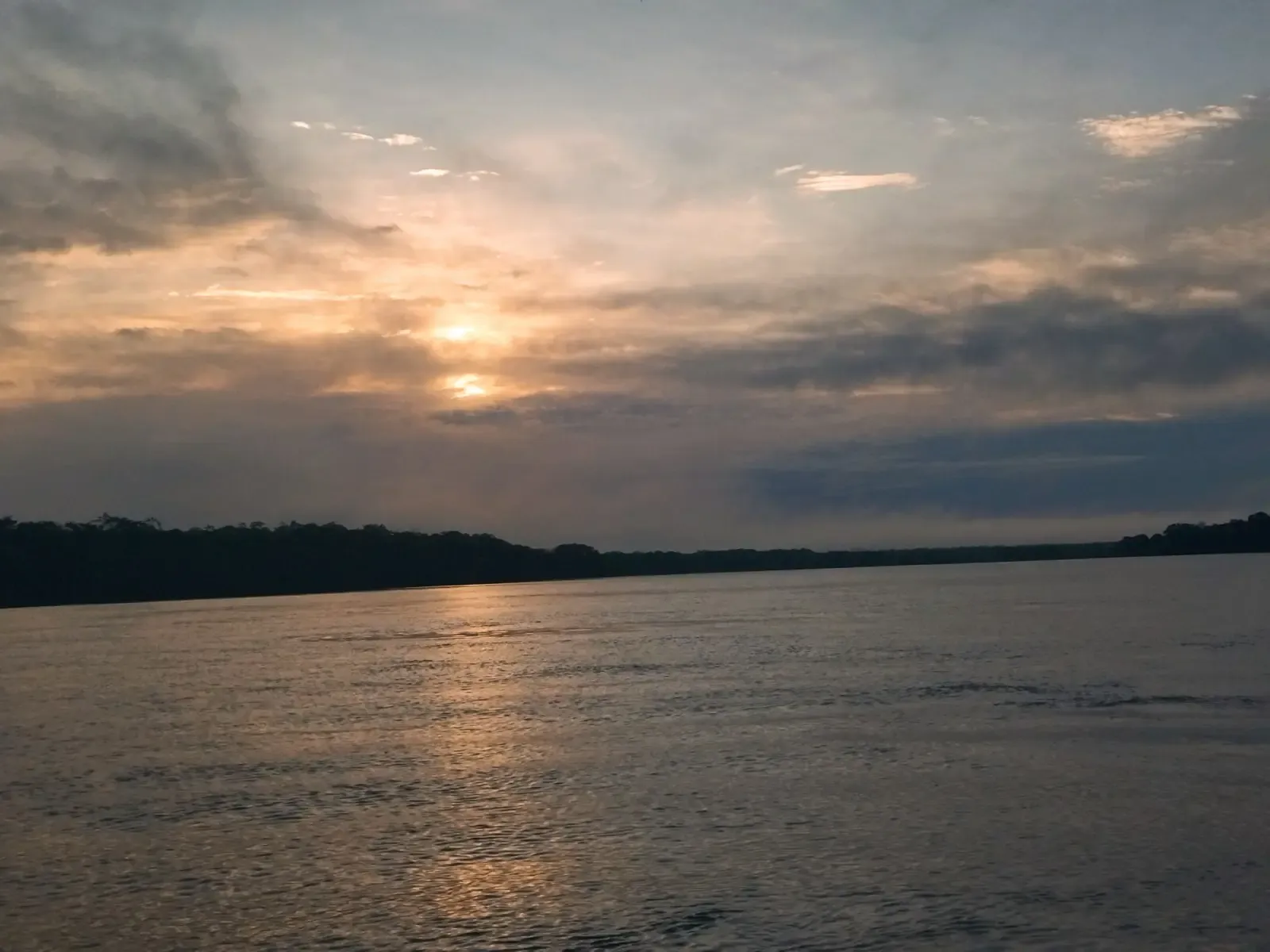 Río Amazonas rodeado de densa selva tropical en Leticia - Olas Travel