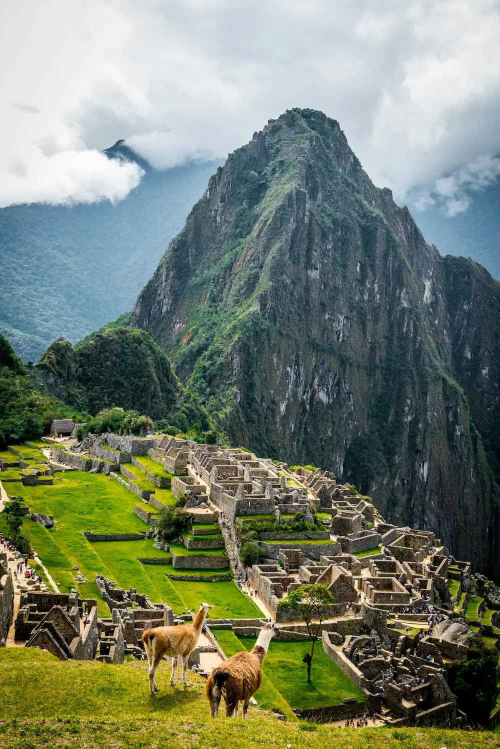 Vista majestuosa de las ruinas de Machu Picchu en Cusco Perú bajo un cielo despejado - Olas Travel